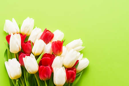 White and red tulips bouquet on a bright green background. Mothers Day, Valentines Day, birthday celebration concept. Top view, copy space for textの写真素材