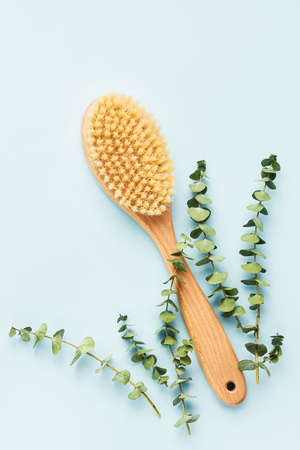 SPA treatment concept. Brush for dry anti-cellulite massage and eucalyptus branches on a blue background. Top view, copy space for textの写真素材