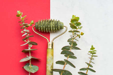 Green face roller from natural jade stone and eucalyptus branches on a white-red background. Top view, copy spaceの写真素材