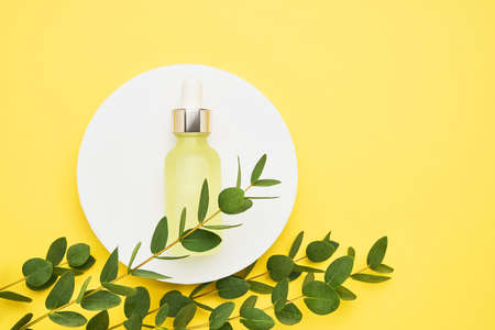 Yellow glass dropper bottle for medical and cosmetic use and eucalyptus branch on a bright yellow...