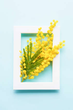 Spring concept. Yellow mimosa flowers and white photo frame on a light blue background. Flat lay, copy space for textの写真素材