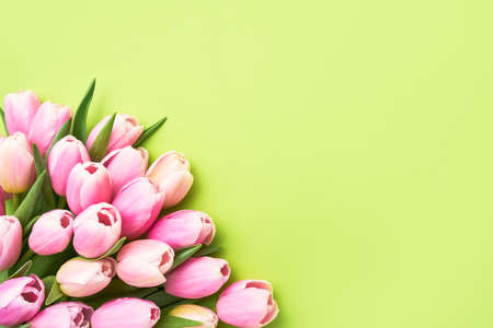 Pink tulips bouquet on a bright green background, selective focus. Flat layの写真素材