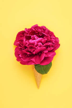 Peony flower in waffle ice cream cone on a bright yellow background. Flat layの写真素材