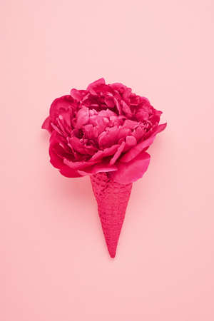 Pink peony flower in a pink waffle ice cream cone on a pink background. Flat layの写真素材