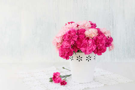 Pink carnation flowers bouquet in white vase on blue background.の写真素材
