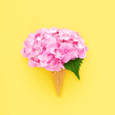 Pink hortensia or hydrangea flower in waffle ice cream cone on a yellow background. Mothers Day,...