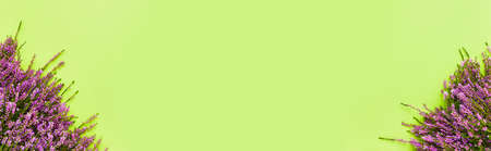 Pink Common Heather flowers bouquets on a green background. Copy space, top viewの写真素材