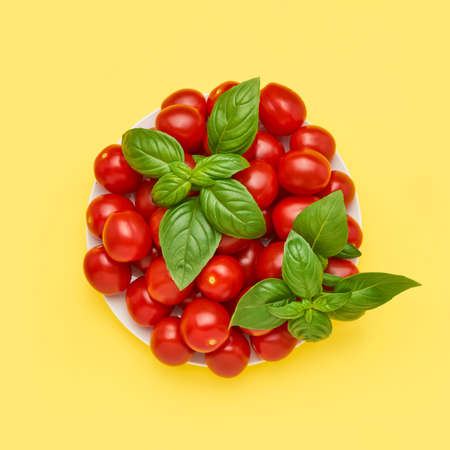 Plate with cherry tomatoes and basil leaves on a bright yellow background. Top viewの写真素材