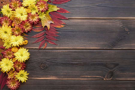 Autumn background. Colorful chrysanthemum flowers border on a dark wooden background. Flat lay, copy spaceの写真素材