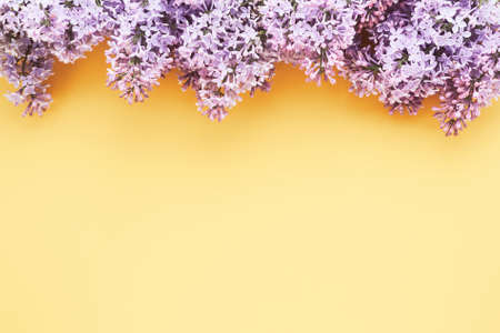 Lilac bunch on a light yellow background. Beautiful Lilac flower border. Top view, copy spaceの写真素材