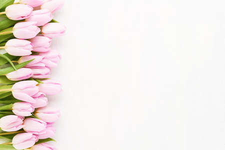 Pink tulips border on a white wooden background. Mothers Day, Valentines Day, birthday conceptの写真素材