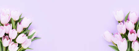 Bouquets of lilac tulips on lilac background. Mothers day, Valentines Day, Birthday concept. Bannerの写真素材