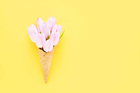 Pink tulips in a waffle ice cream cone on a yellow background. Summer conceptの写真素材