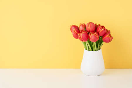 Bunch of red tulips in a white ceramic vase on the white table by the wall. Copy space for textの写真素材