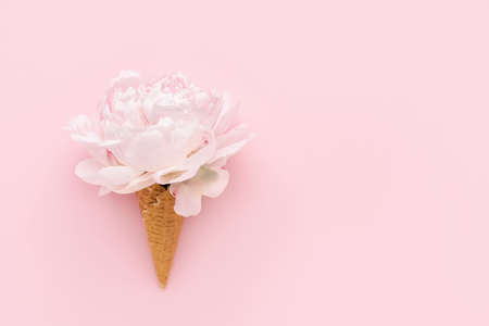 Pink peony in waffle ice cream cone on a pink background. Summer conceptの写真素材