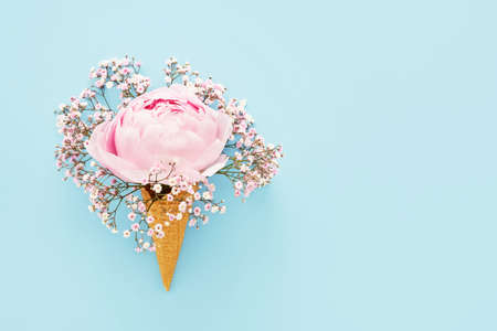 Pink peony and gypsophila in waffle ice cream cone on a blue background. Mothers Day, Valentines...