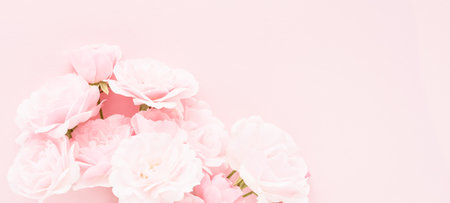 Bunch of pink roses on a pink background. Mothers day, Valentines Day, Birthday celebration conceptの写真素材
