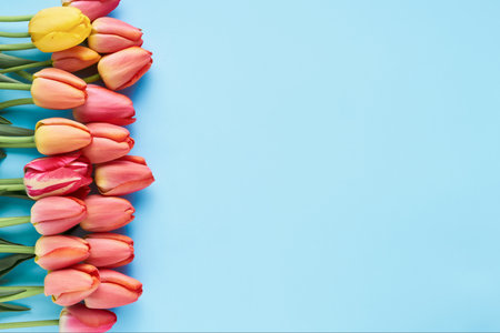 Bouquet of red tulips on light blue background. Greeting card. Copy space, top viewの写真素材
