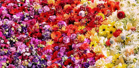 Vibrant Floral Arrangement of multicolor flowers. banner
