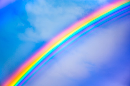 A shot of a tiny bird in front of a bright and vibrant rainbow on a clear blue sky on a summer dayの写真素材