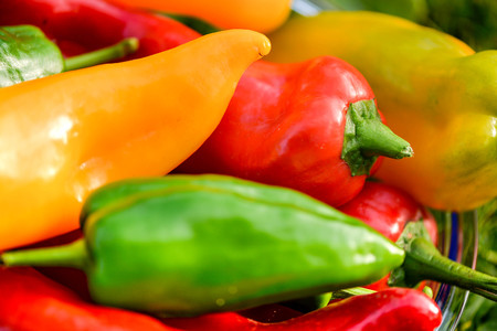 Summer harvest. Freshly picked, red, green and yellow sweet peppers, laying in grass in garden. Healthy eating, fresh food, vegetables, vitamins, diet, fitness. Making fresh salads for dinner. Tastyの写真素材