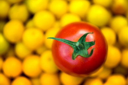 Large autumn harvest. Macro shot of freshly picked ripe red tomato and small yellow plums in the background in the middle of a garden in early autumnの写真素材