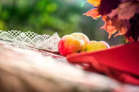 Golden autumn. Macro shot of natural linen tablecloth with rose print and crochet white lace trim, red linen napkins and a bowl, full of red and yellow apples on top of the table on green backgroundの写真素材