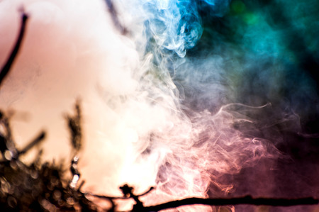Ignite the fire. Macro shot of bonfire, white smoke, hot, glowing coal and fire. Burning branches and wood. Flames in fireplace, cozy home, warmth, love, romantic. Spring cleaning, gardening, picnicの写真素材