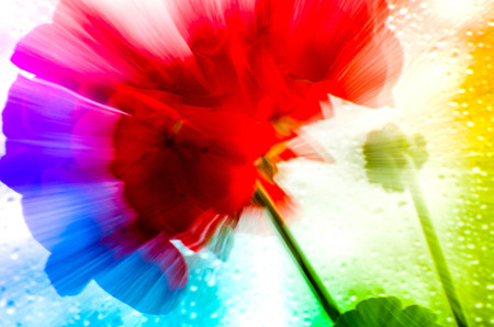 Blurry, abstract shot of red flower on rainy window. Spring time, nature awakening, positive emotions, brights colors all around. Vibrant background, artistic. Paintings, oil colors, acrylic, canvasの写真素材