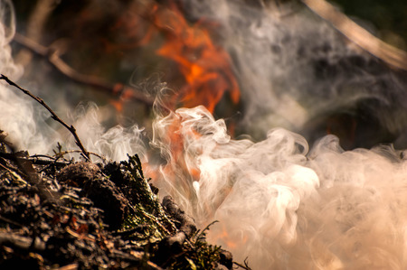 Ignite the fire. Macro shot of bonfire, white smoke, hot, glowing coal and fire. Burning branches and wood. Flames in fireplace, cozy home, warmth, love, romantic. Spring cleaning, gardening, picnicの写真素材