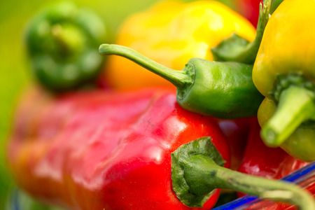 Summer harvest. Freshly picked, red, green and yellow sweet peppers, laying in grass in garden. Healthy eating, fresh food, vegetables, vitamins, diet, fitness. Making fresh salads for dinner. Tastyの写真素材