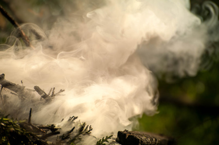 Ignite the fire. Macro shot of bonfire, white smoke, hot, glowing coal and fire. Burning branches and wood. Flames in fireplace, cozy home, warmth, love, romantic. Spring cleaning, gardening, picnicの写真素材