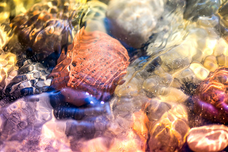 Macro shot of magical, healing sea pebbles and rocks, white bubbles and foam in colorful, vibrant ocean water full of energy. Sun rays, reflections deep in the salty water at the beach during sunsetの写真素材