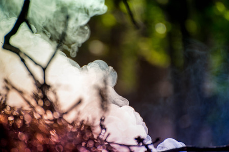 Ignite the fire. Macro shot of bonfire, white smoke, hot, glowing coal and fire. Burning branches and wood. Flames in fireplace, cozy home, warmth, love, romantic. Spring cleaning, gardening, picnicの写真素材