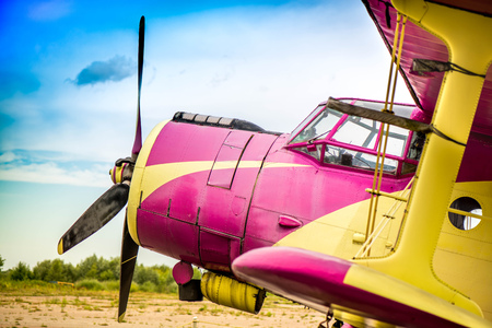 Abstract, old yellow, pink, purple plane in abandoned airport next to dark forest in an overcast day. Military plane, russian aircraft. Soviet mass-produced single-engine biplane at field aerodrome.のeditorial素材