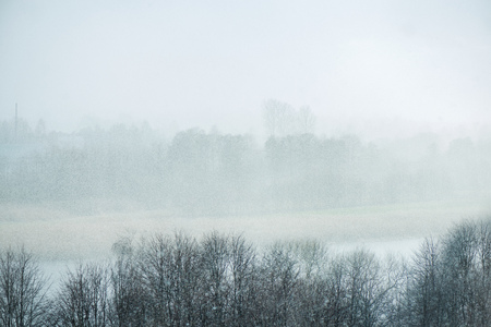 Unusual nature event in spring. Shot of snowstorm on Easter. White snowflakes are falling and covering recently bloomed flowers. Beautiful nature. Feels like a Christmas miracle. Waiting for summer.の写真素材