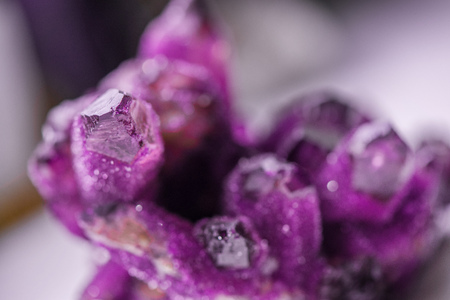 Amethyst is a violet variety of quartz often used in jewelry. Meditative, calming stone which works in emotional, spiritual and physical planes to promote calm, balance and peace. Raw, uncut crystals.の写真素材
