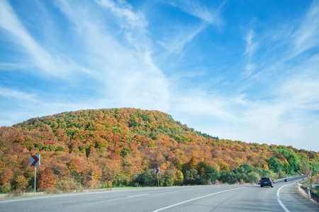 Vibrant colored trees on at mountainside next to a busy highway in late autumn. Beautiful, colorful autumn backgroundの写真素材
