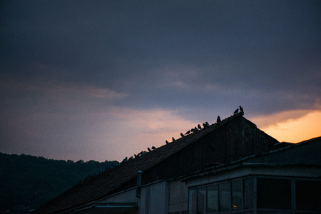 Birds sitting on house roof on romantic sunset background. Storm is coming. Mountain village in the background.の写真素材