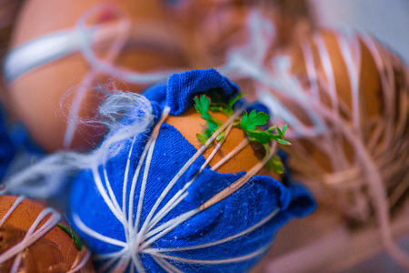 Easter eggs prepared for dyeing in onions peels, decorated with natural fresh leaves, plants, rice,...
