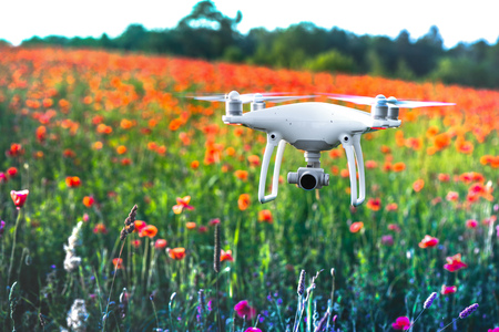 White quadrocopter, is flying high in the air, to take photos and record footage from above, in red poppy field. Drone with four motors, propellers, camera, warning lights. Romantic flowers backgroundの写真素材