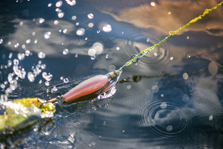 Old plastic spinning bait catching fishes in water. Splashes, water drops around. Calm water background. Fishing equipment. Favorite leisure activity for men at the weekendの写真素材