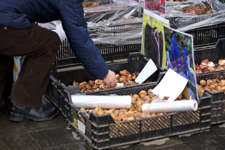 Boxes and crates full of variety of flower seeds and seedlings for new spring season and ready made flower beds for garden. Pictures of generic flowers indicate the species and color of flower.のeditorial素材