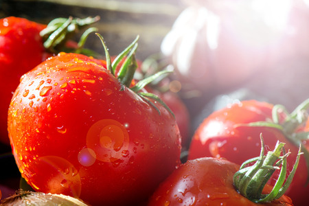 Ripe fresh harvested vegetables on table. Cutting tomatoes on wooden board. Making delicious vegetarian meal or canning veggies for winter in jars. Concept of healthy eating. Water or rain dropsの写真素材