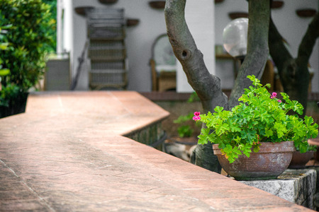 Macro shot of beautiful flowers planted in big pot next to a pathway to home. Bright sun rays in the backgroundの写真素材