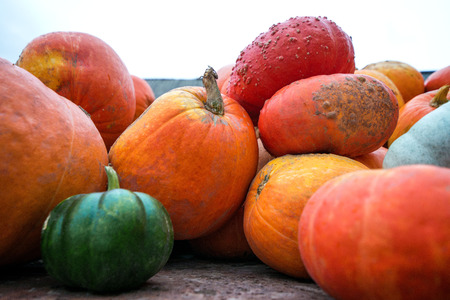 Trailer full of fresh pumpkins. Rich harvest in autumn or fall on farm in November. Beautiful, colorful autumn background. Preparing for Halloween. Delicious and healthy vegetables and fruits.の写真素材