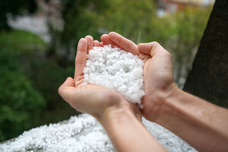 Holding freezing granulated hail ice crystals, grains in hands after strong hailstorm in autumn, fall. First snow in early winter. Cold weather.の写真素材
