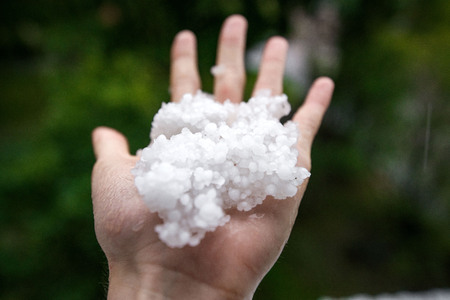 Holding freezing granulated hail ice crystals, grains in hands after strong hailstorm in autumn,...