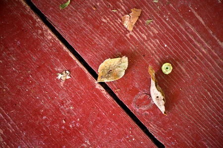 Abstract, rustic, red or brown wooden background with colorful and dry autumn leavesの写真素材