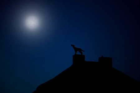 Wolf or dog screaming on the rooftop. Spooky house or palace in full moon. Scary Halloween background. Concept of guarding propertyの写真素材